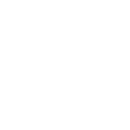 DISCOVERY TURBO